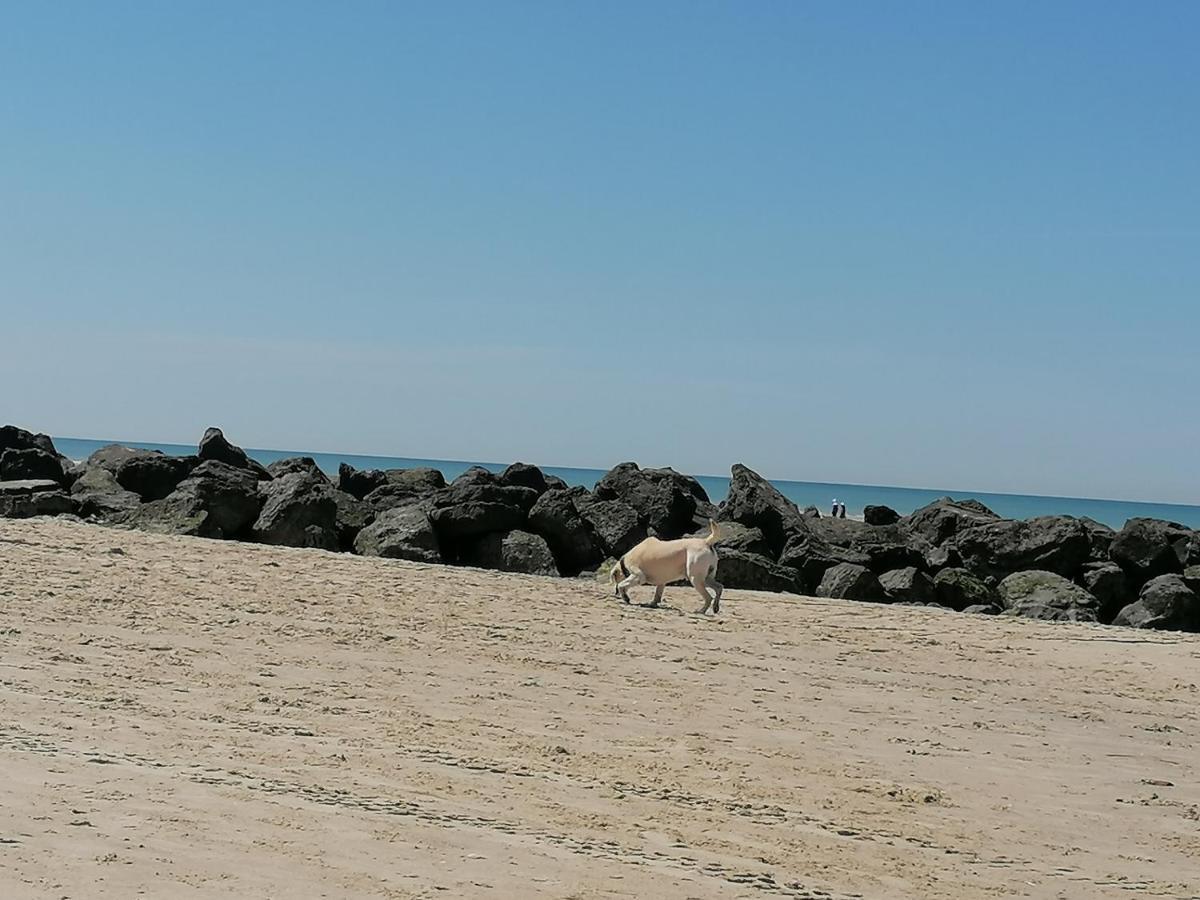 Equihen Plage Maison 83 Exterior foto